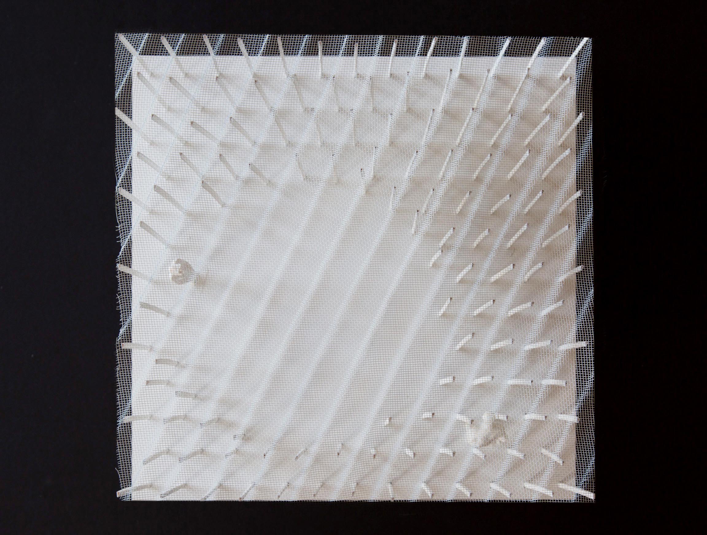 Model view.